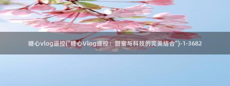 树懒网糖心vlog：糖心vlog遥控(\