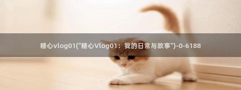 糖心vlog1.3