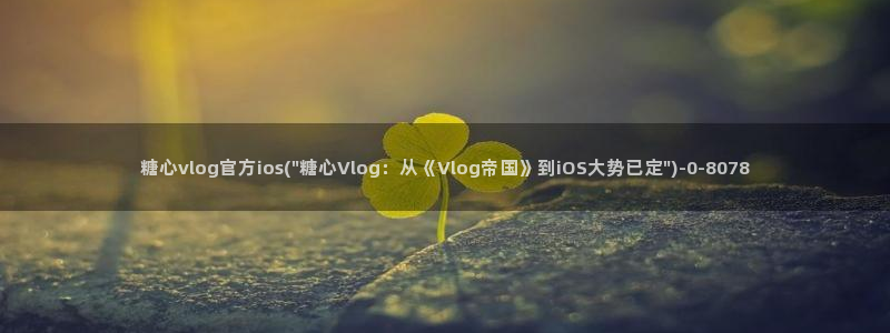 糖心VLOG传媒金善雅:糖心vlog官方ios(\