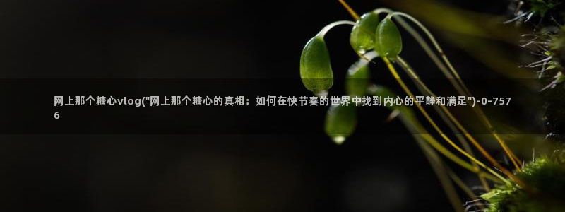 小鱼糖心vlog:网上那个糖心vlog(\