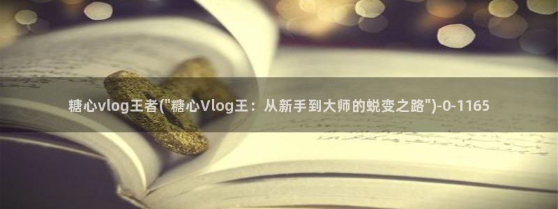 t糖心vlog