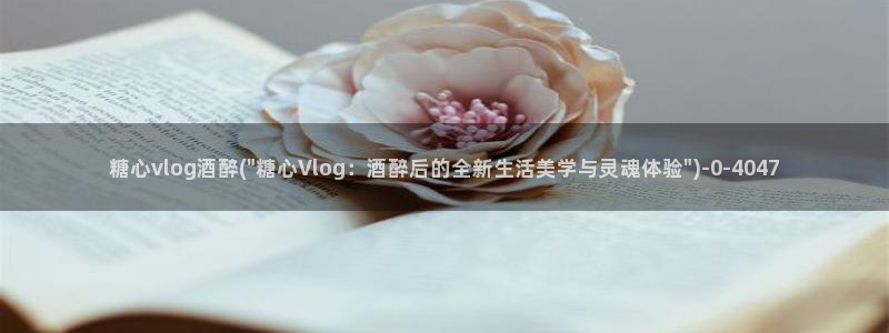 糖心Vlog黄色纸人：糖心vlog酒醉(