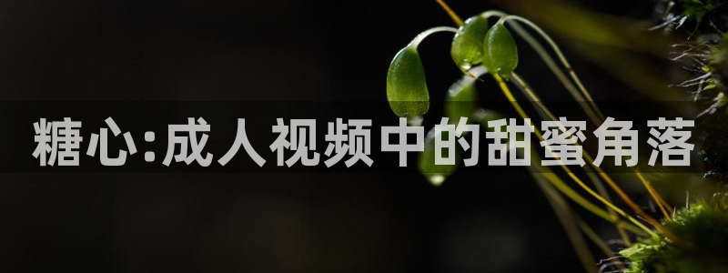 糖心vlog网页破解:糖心:成人视频中的甜蜜角落