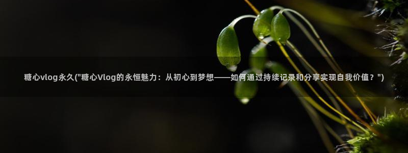 糖心vlog萨勒芬妮:糖心vlog永久(