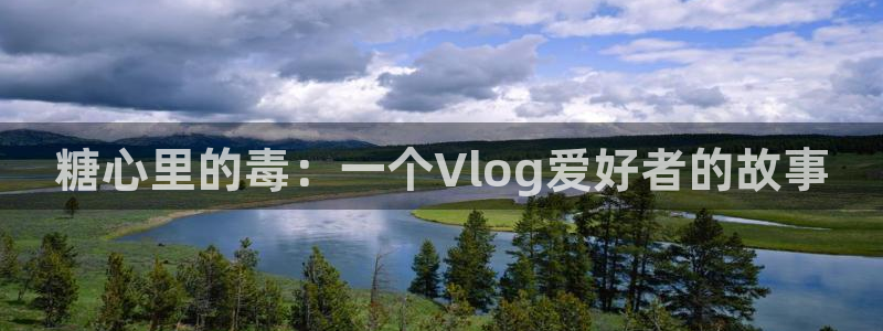 糖心春节vlog:糖心里的毒:一个Vlog爱好者的故事