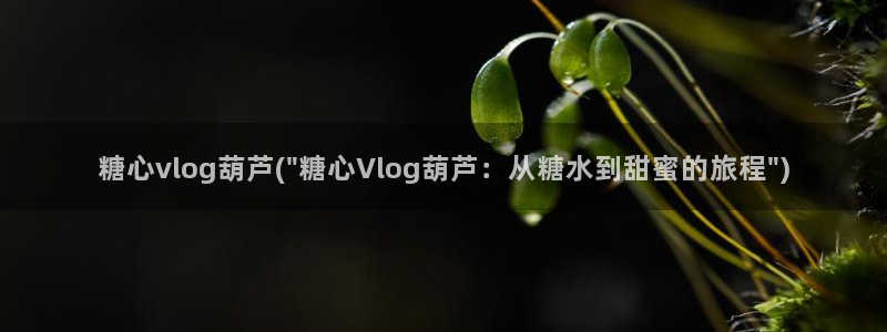 糖心美杜莎vlog在线:糖心vlog葫芦(\