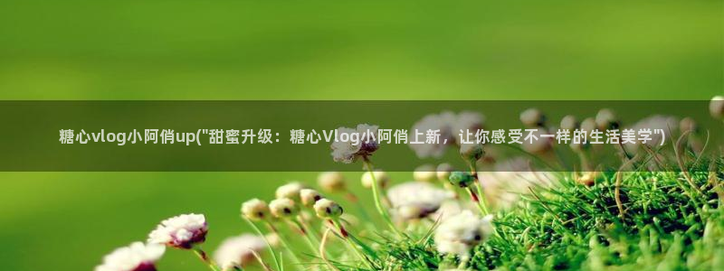 糖心vlog磁力:糖心vlog小阿俏up